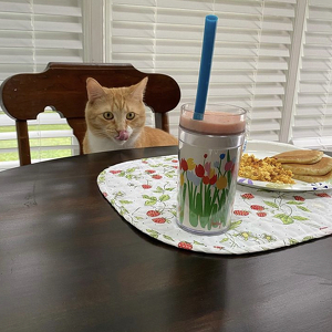 Fundraising Page: Andi Martin